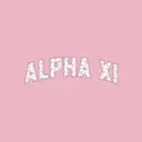 Alpha Xi Delta Heart Pattern Text PR Crewneck