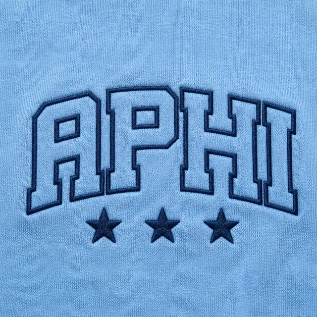 Alpha Phi Block Lettering Stars PR Shorts