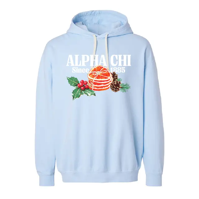 Alpha Chi Omega Festive Orange and Pine Cone PR Hoodie 2