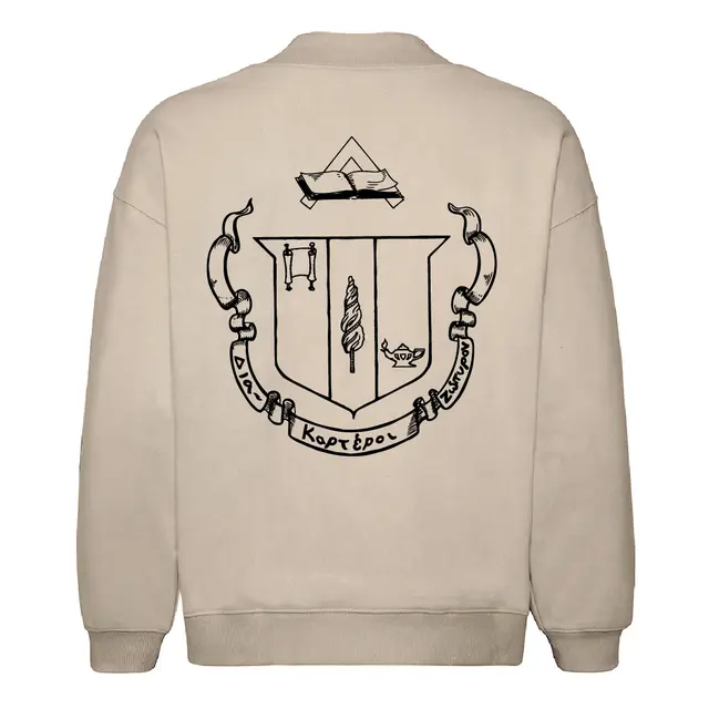 Delta Zeta Crest Illustration PR Sweater 2