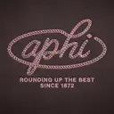 Alpha Phi Rope Lettering Rush Hoodies
