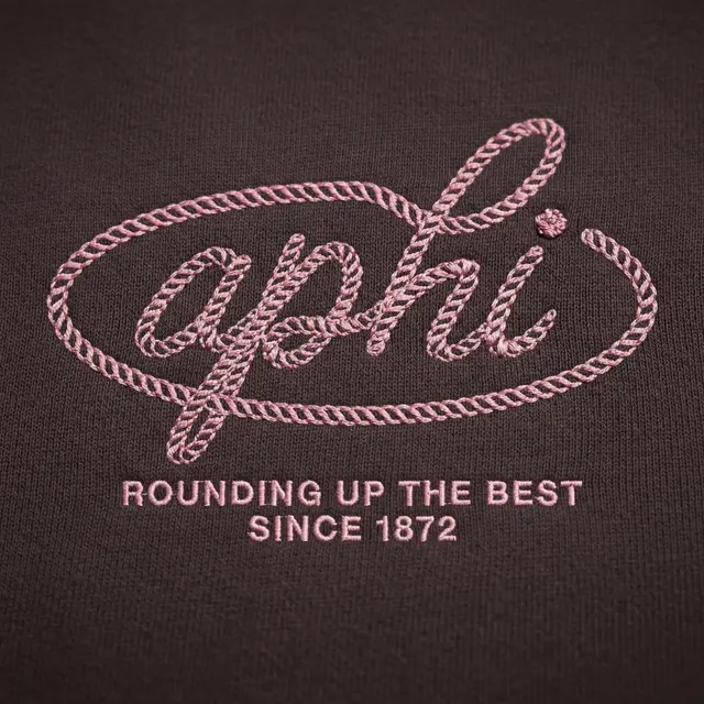 Alpha Phi Rope Lettering Rush Hoodies
