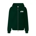 Sigma Alpha Epsilon Golf Ball Graphic Rush Hoodie 2