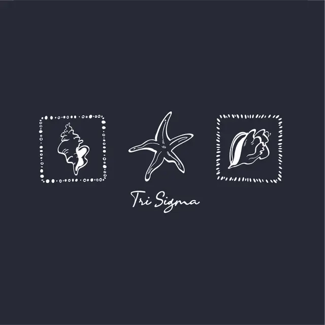 Sigma Sigma Sigma Seashell Starfish PR Hoodie