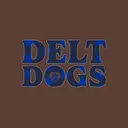 Delta Tau Delta Star Pattern Stitched Texts Philanthropy Shirt