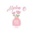 Alpha Omicron Pi Checker Tulip Big Little Shirt
