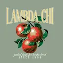 Lambda Chi Alpha Vintage Cranberries PR Shirt