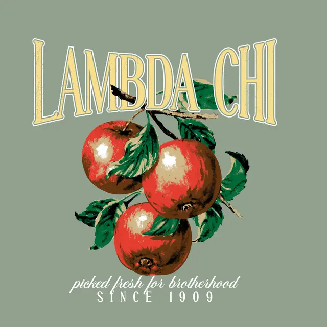 Lambda Chi Alpha Vintage Cranberries PR Shirt