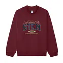 Women in STEM Block Lettering and Curved Text PR Sweater 2