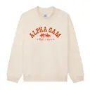 Alpha Gamma Delta Desert Landscape PR Sweater 2