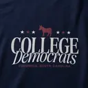 College Democrats Stacked Serif Text PR Hoodie