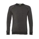 Customizable Alternative Champ Eco-Fleece Sweatshirt 9575 Eco Black Front