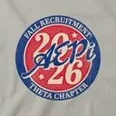Alpha Epsilon Pi Circular Badge Rush Hoodie