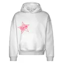 Delta Zeta Star Graphic PR Hoodie 2