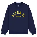 Alpha Xi Delta Arched Lettering Gametday Hoodie 2