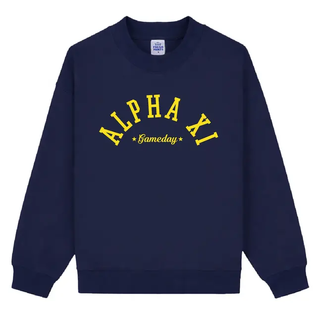 Alpha Xi Delta Arched Lettering Gametday Hoodie 2