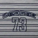 Delta Gamma Arched Lettering 73 Tanks