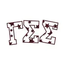 Gamma Sigma Sigma Star Pattern Text PR Shirt