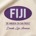 Phi Gamma Delta Oval Graphic Philanthropy Hoodie
