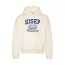 Sigma Phi Epsilon Bold Block Letters Homecoming Hoodie 2