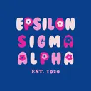 Epsilon Sigma Alpha Flower Block PR Hoodie 2