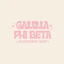 Gamma Phi Beta Pink Hearts Text Recruitment Hoodie