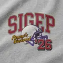 Sigma Phi Epsilon Football Helmet Parent's Weekend Sweater