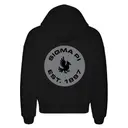 Sigma Pi Bold Eagle Graphic PR Hoodie 2