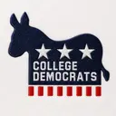 College Democrats Silhouette Donkey Stars Stripes Sweater