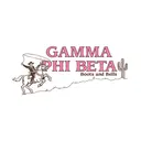 Gamma Phi Beta Cowboy and Cactus PR Hoodie