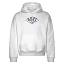 Alpha Epsilon Pi Bold Mountain Retreat Hoodie 2
