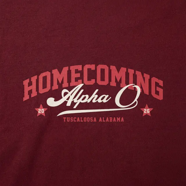 Alpha Omicron Pi Homecoming Block Lettering Script Hoodie