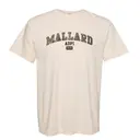 Alpha Delta Pi Curved Lettering PR Shirt 2