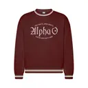 Alpha Omicron Pi Decorative Script Date Party Crewneck 2