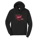 Delta Phi Omega Bold Tiger Graphic PR Hoodie 2