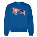 Pennants with Ribbons Illustration Big Little Reveal Sweater Design for Delta Zeta
