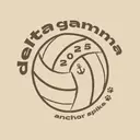 Delta Gamma Volleyball Graphic PR Shirt