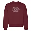 Alpha Sigma Phi Football Helmet Homecoming Crewneck 2