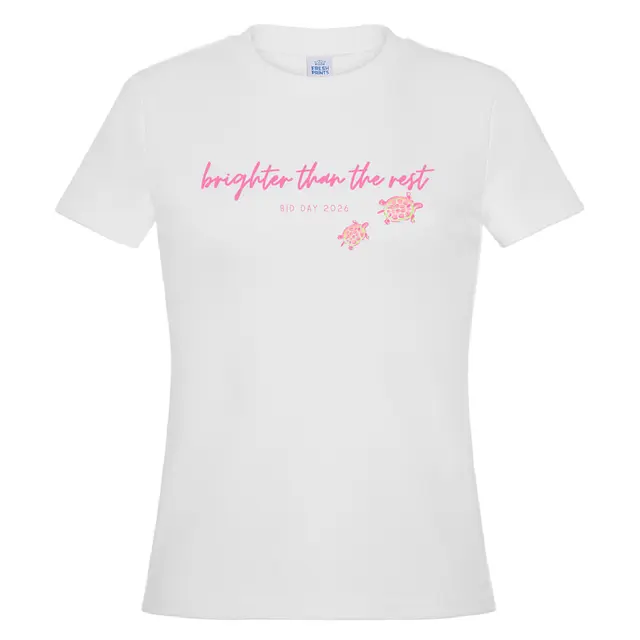 Delta Zeta playful turtle Bid Day Shirt 2