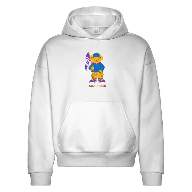 Delta Tau Delta Cheerful Bear with Flag PR Hoodie 2