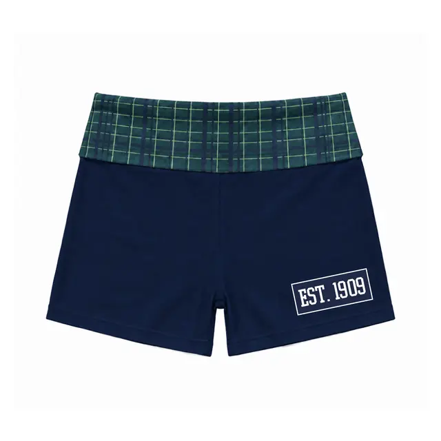 Alpha Epsilon Phi Plaid Waistband Text PR Shorts 2