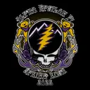 Alpha Epsilon Pi Alpha Epsilon Pi Thunder on Skull with Rose and Flame in Purple and Yellow Design for Fraternity 