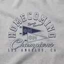 Phi Mu Pennant Graphic Homecoming Hoodie