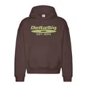 Delta Sigma Phi Striped Block Text PR Hoodie 2