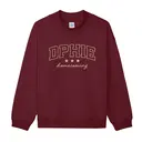Delta Phi Epsilon Curved Text Homecoming Hoodie 2