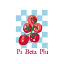 Pi Beta Phi Tomato Checkerboard PR Shirt