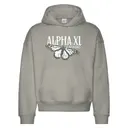 Alpha Xi Delta Butterfly Graphic Formal Hoodie 2