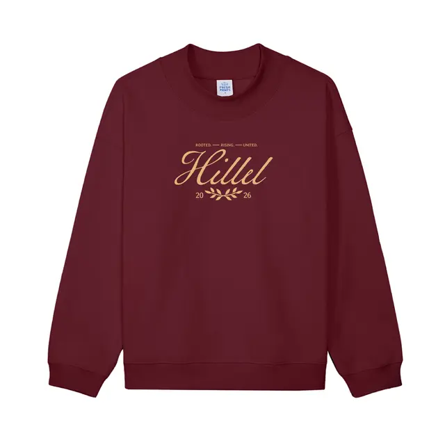Hillel Flowing Script Text PR Sweater 2