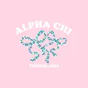 Alpha Chi Omega Floral Bow Formal Hoodie
