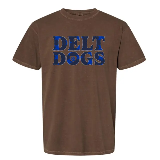 Delta Tau Delta Star Pattern Stitched Texts Philanthropy Shirt 2